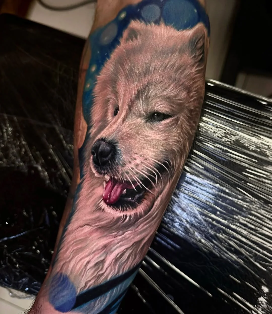 Tatuaj realist color cu lup alb pe antebraț